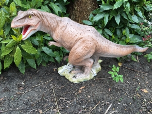 Dinosaur, beautiful statue of a Tyrannosaurus